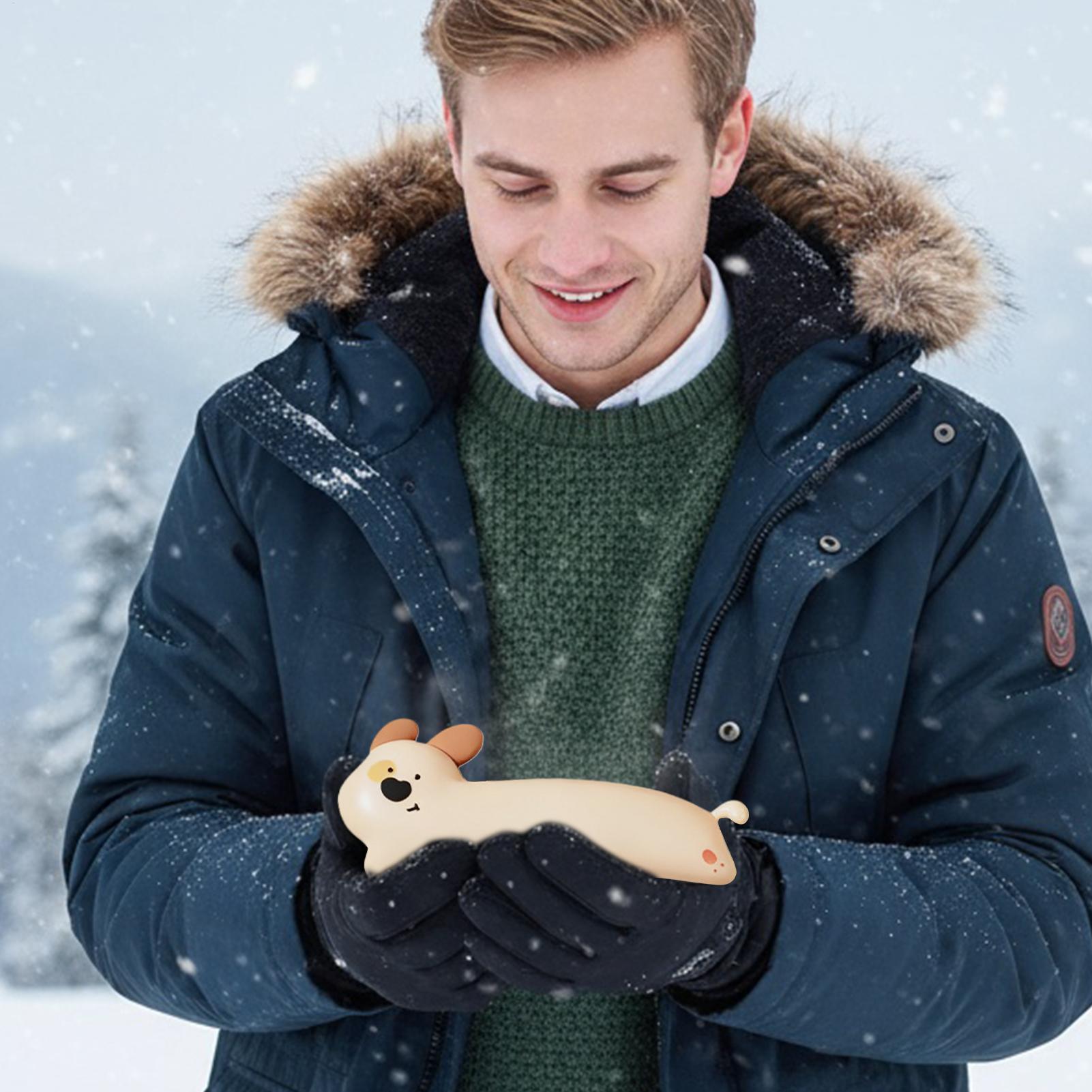 Electric Hand Warmer 3-Level D - Hand Warmer Electric review and price